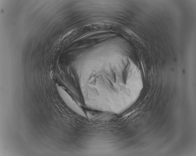 X0000066090822200604071754