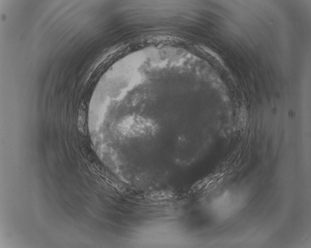 X0000066090823200604071754