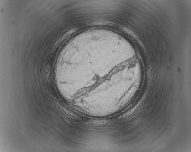 X0000066090825200604071754