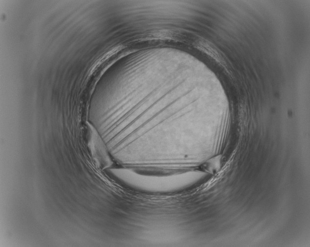 X0000066090826200604071754