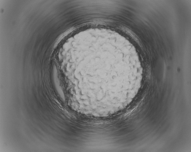 X0000066090829200604071754