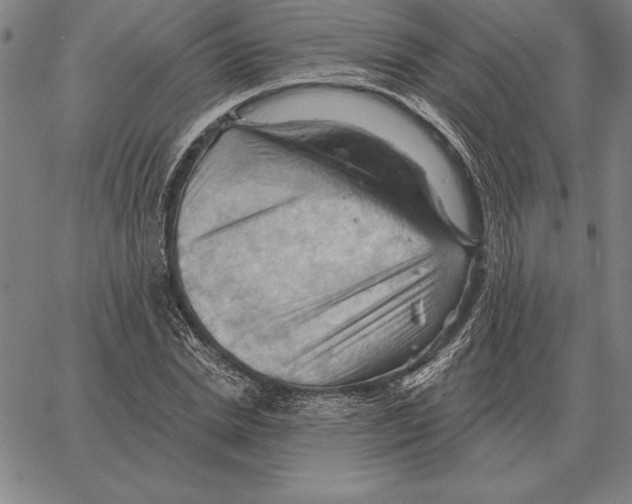 X0000066090830200604071754