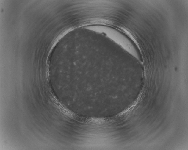 X0000066090835200604071755