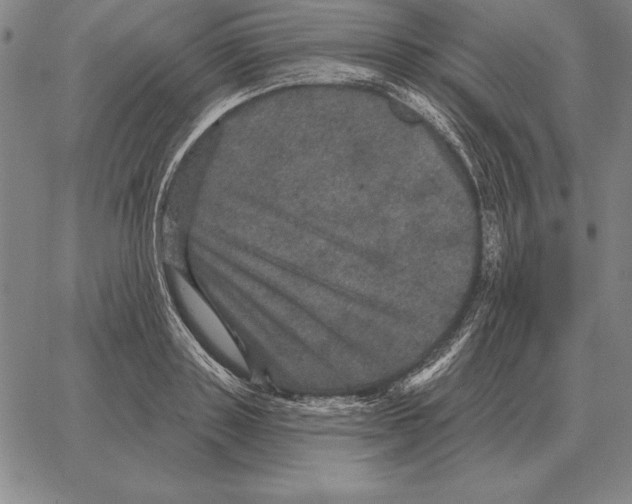 X0000066090843200604071755