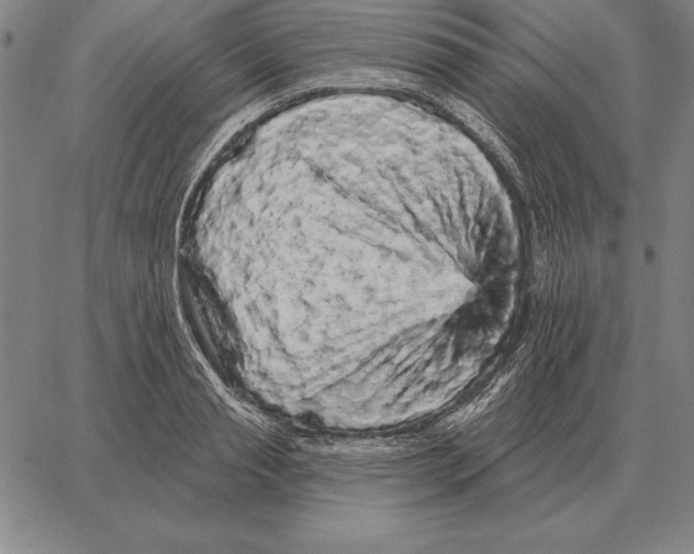 X0000066090845200604071755