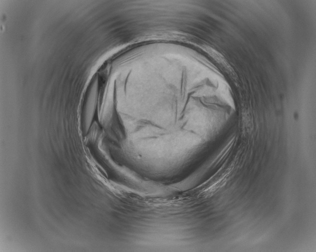X0000066090846200604071755