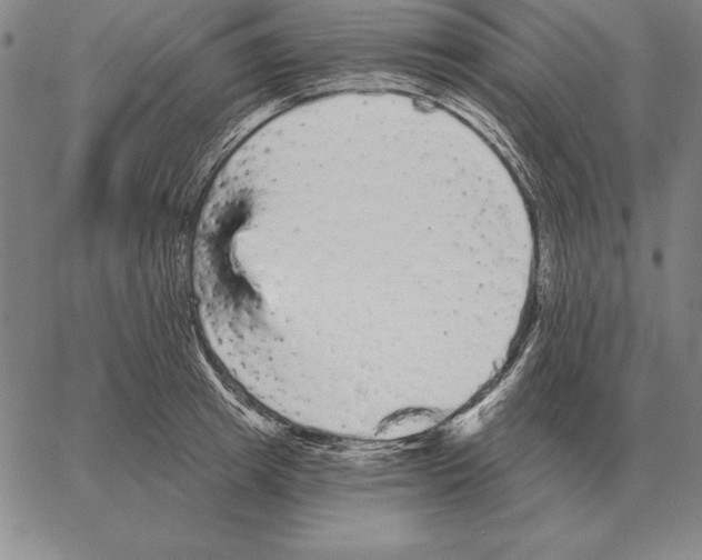 X0000066090849200604071755