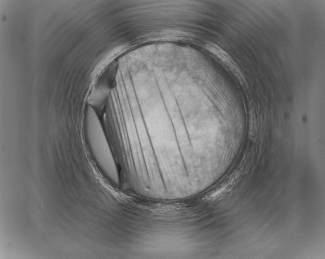 X0000066090850200604071755