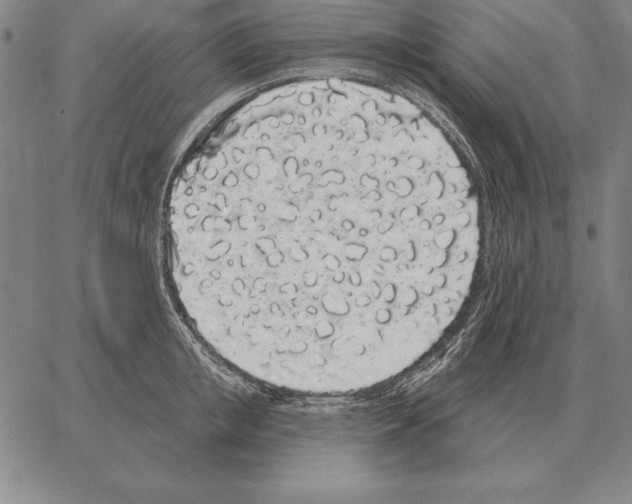 X0000066090853200604071755