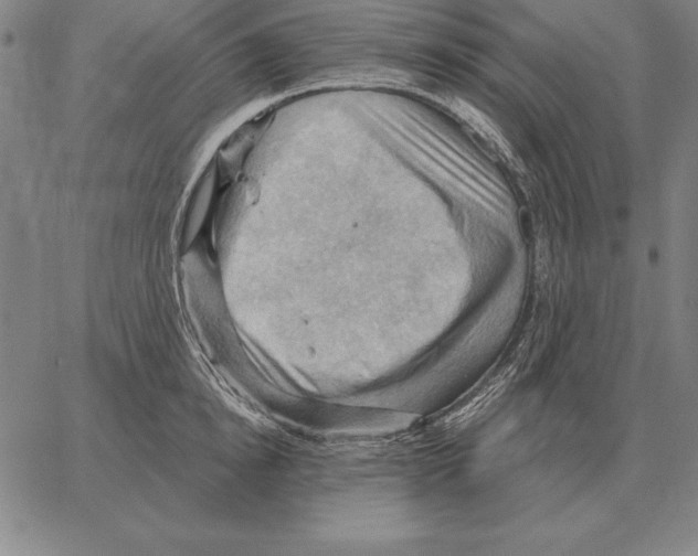 X0000066090854200604071755