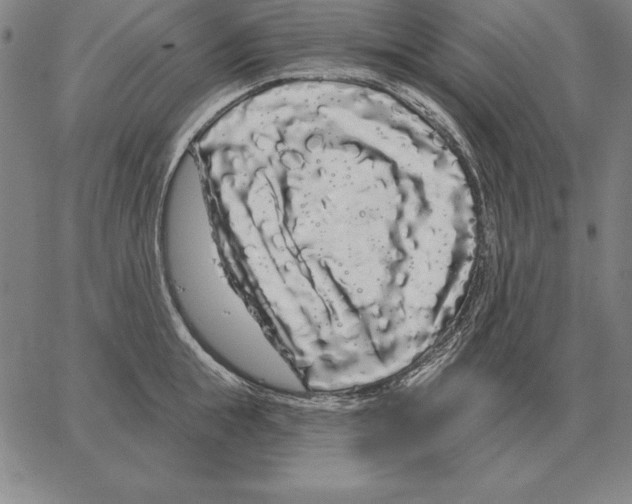X0000066090855200604071755