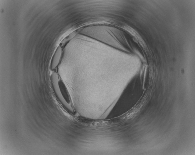 X0000066090858200604071755