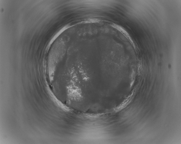 X0000066090859200604071755