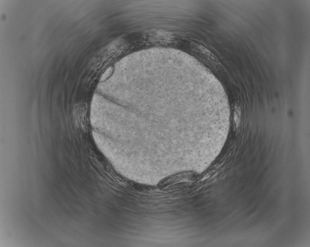 X0000066090867200604071754