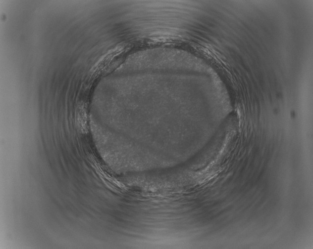 X0000066090868200604071754