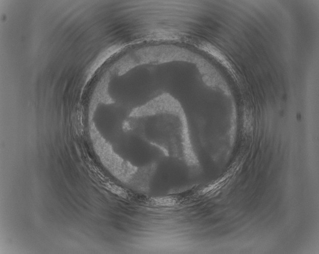 X0000066090878200604071754