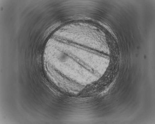 X0000066090881200604071754