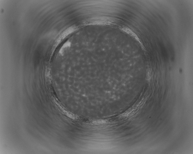 X0000066090882200604071754