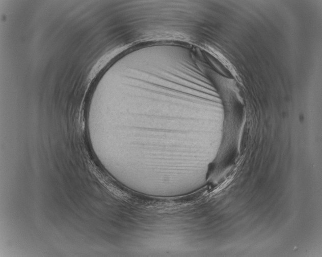 X0000066090885200604071754