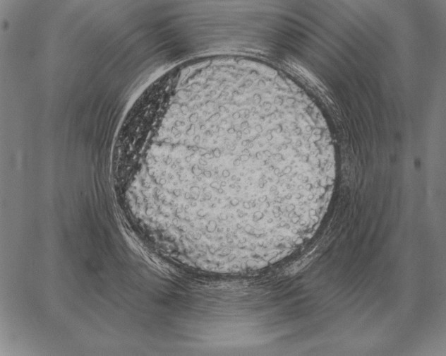 X0000066090892200604071754