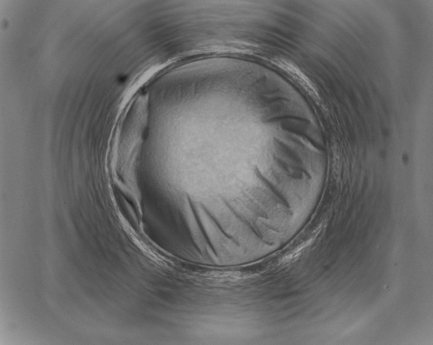 X0000066090893200604071754