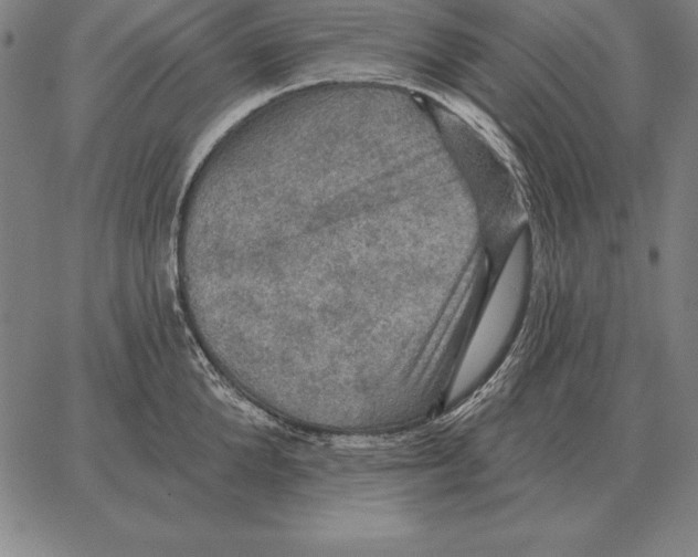X0000066090904200604071754