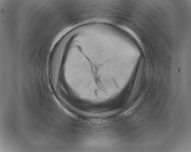 X0000066090910200604071753