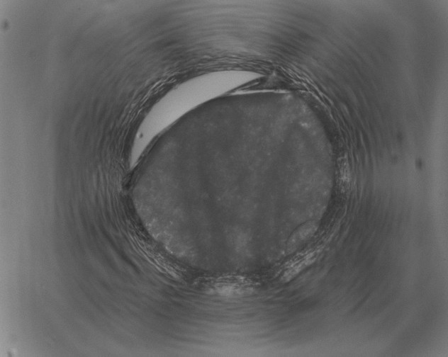 X0000066090916200604071753