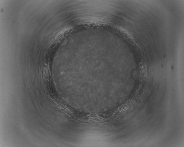 X0000066090918200604071753