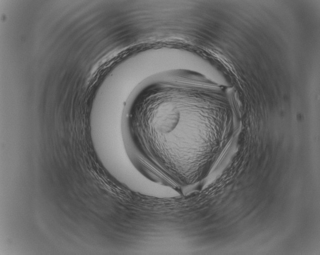 X0000066090920200604071753