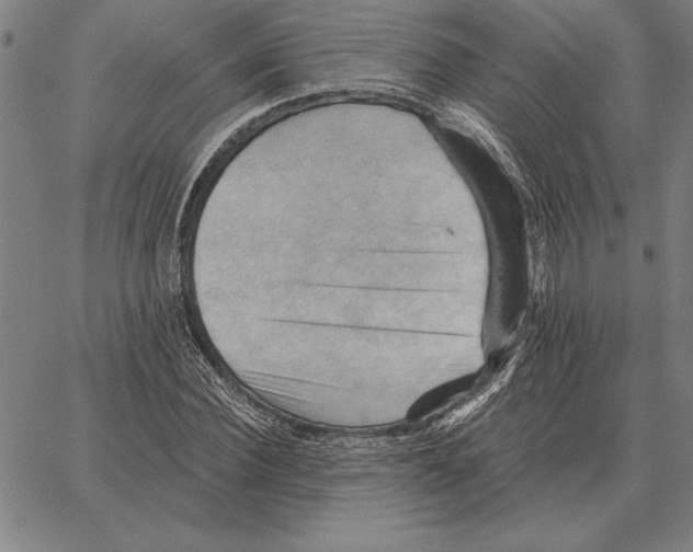 X0000066090924200604071753