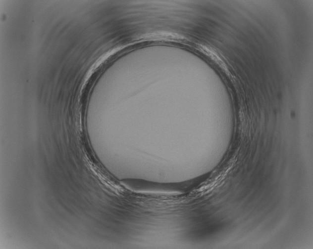 X0000066090931200604071753