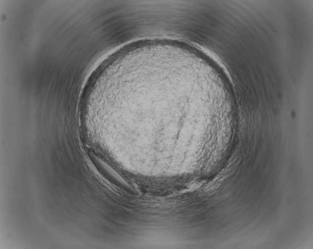 X0000066090935200604071753