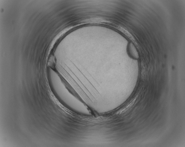 X0000066090939200604071753