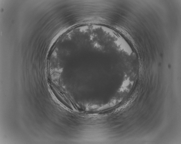 X0000066090941200604071753