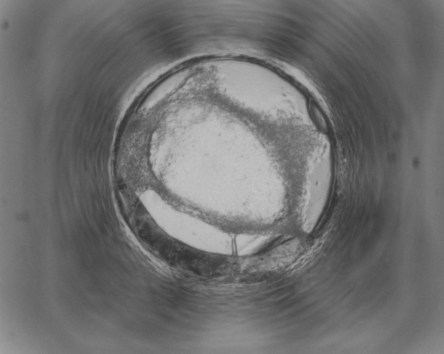 X0000066090943200604071753