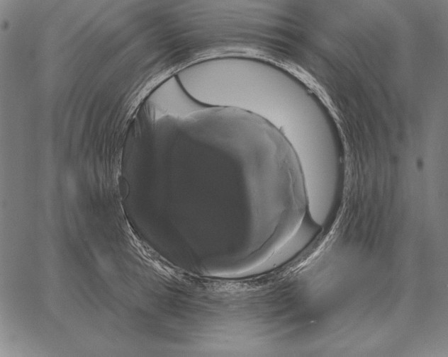 X0000066090945200604071753