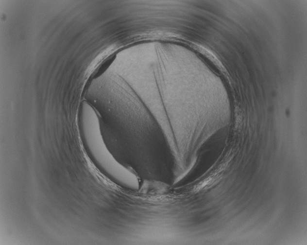 X0000066090946200604071753