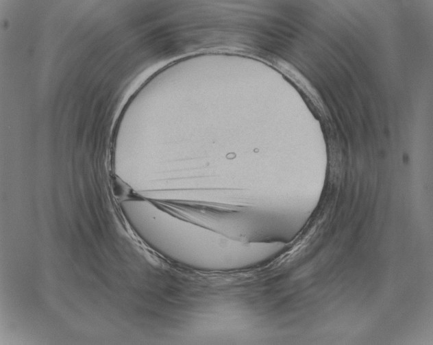 X0000066090956200604071753