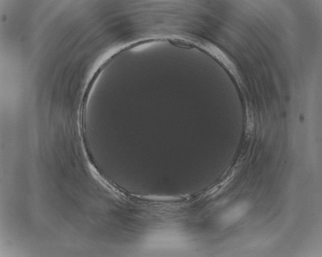 X0000066090958200604071753