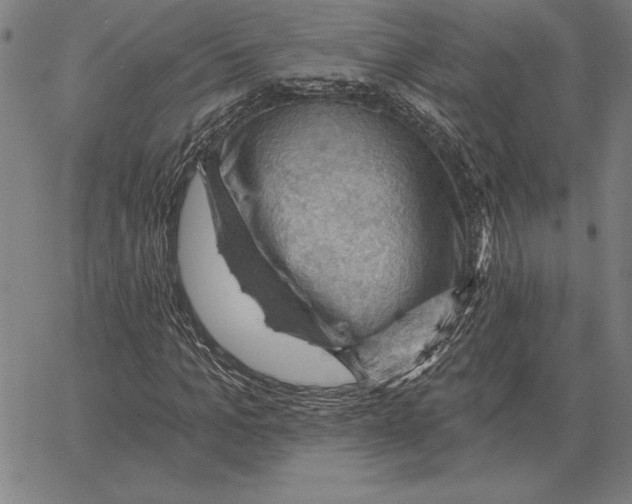 X0000066090965200604071753