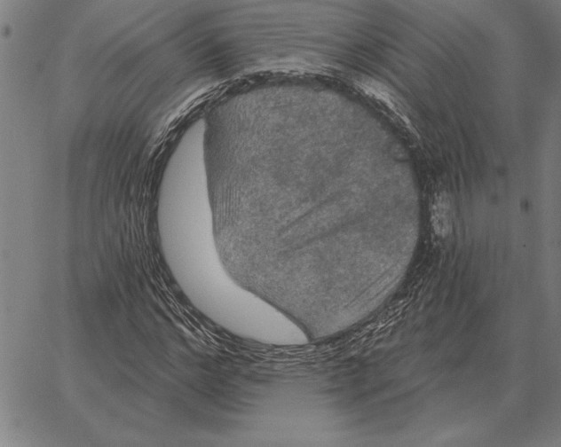 X0000066090968200604071753