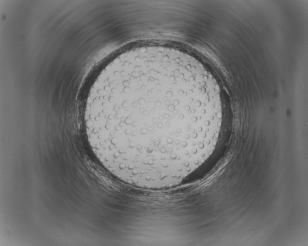 X0000066090974200604071752