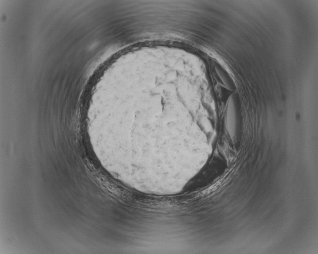 X0000066090975200604071752