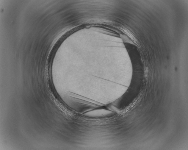 X0000066090976200604071752