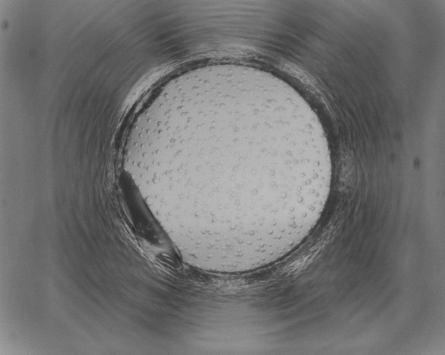 X0000066090978200604071752