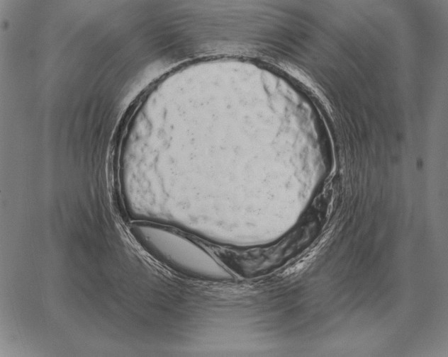 X0000066090983200604071752