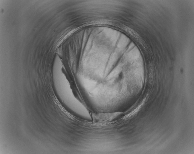 X0000066090985200604071752
