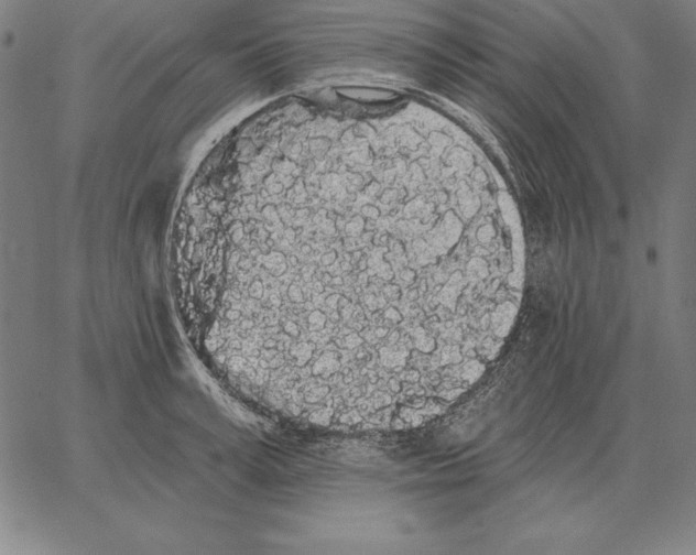 X0000066090995200604071752