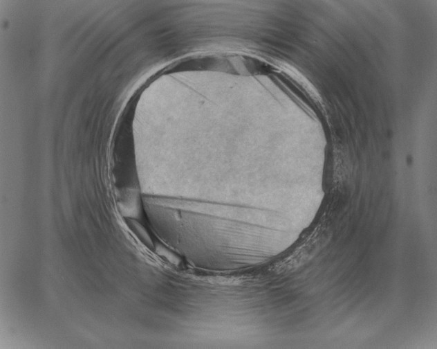 X0000066090996200604071752